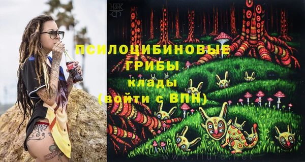 MESCALINE Белокуриха